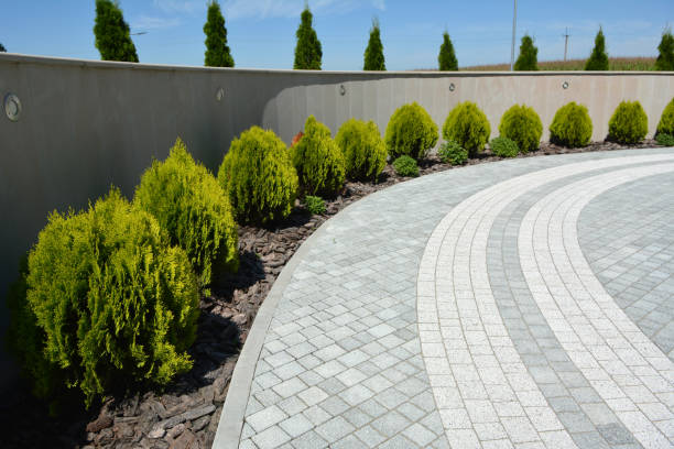 Best Driveway Pavers Near Me  in Royal City, WA